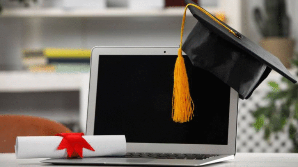 Undergraduate Programs