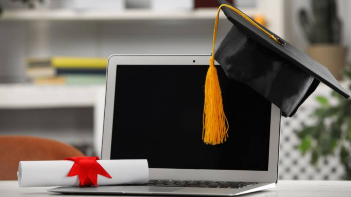 Undergraduate Programs